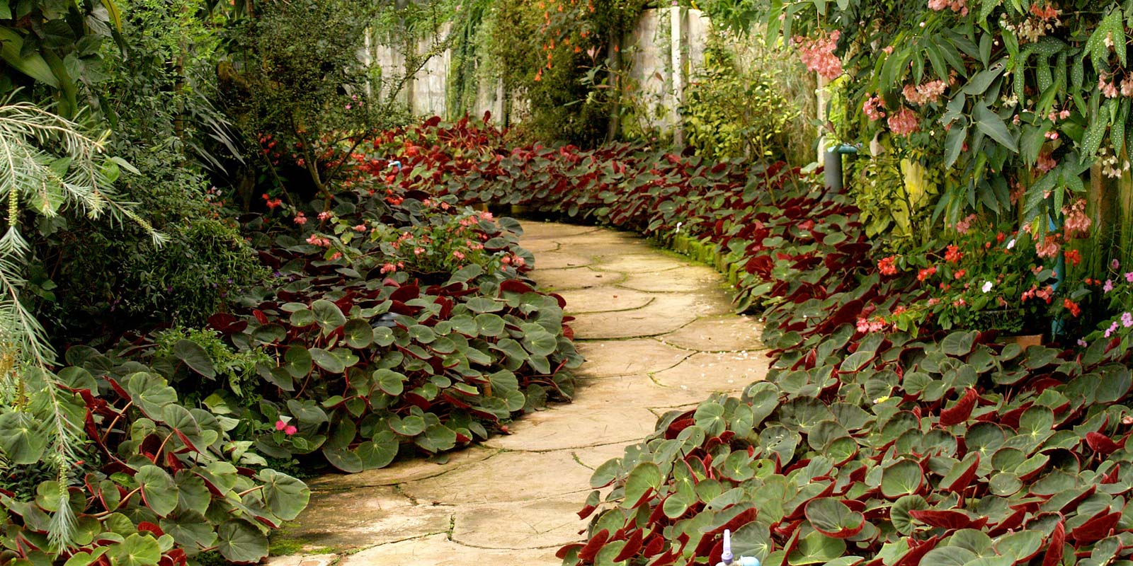 CONSTRUCCIÓN Y RESTAURACIÓN DE JARDINES Y TERRAZAS